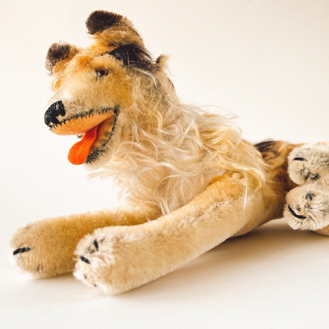 Steiff シュタイフ 犬 ぬいぐるみ コリー 西ドイツ 年代不明 シュタイフ コリー ぬいぐるみ 全長25cm | こぐま舎