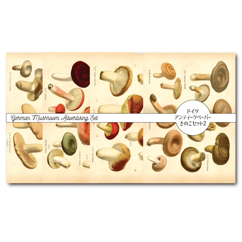 きのこの日常の絵 きのこの日常の絵 きのこの日常の絵 Blueskyのキノコ全部描きたい