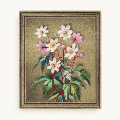 ドイツ　シガレットカード　No.7