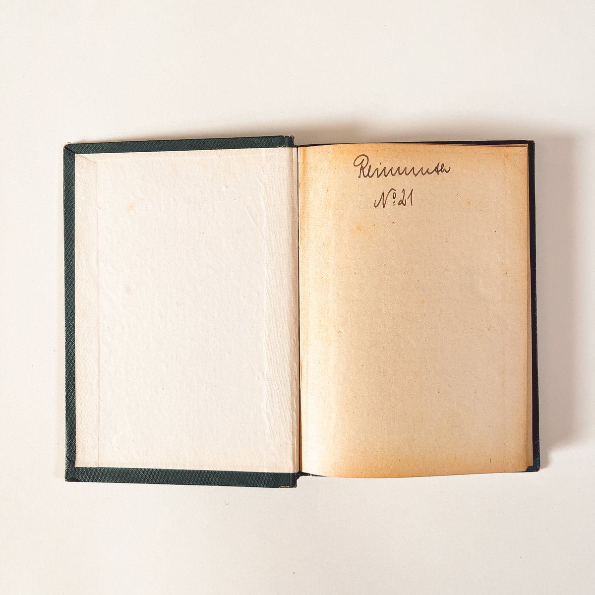 ドイツ Sturm's Flora von Deuchland 1 (1904) 植物図鑑 |