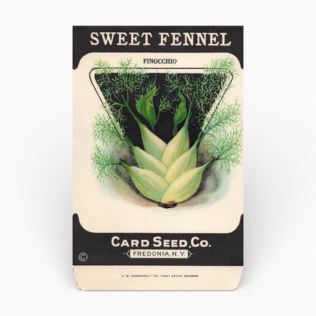 シードパケット　種袋　アメリカ　SWEET FENNEL