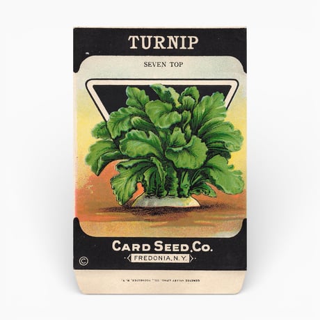シードパケット　種袋　アメリカ　TURNIP