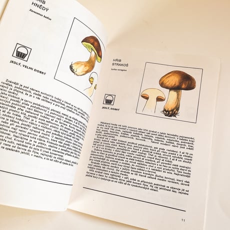チェコスロバキア　きのこ図鑑　Rady pro sběr a nákup lesních plodů a hub (1970s)
