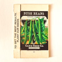 シードパケット　種袋　箱　アメリカ　BUSH BEANS TENNESSEE