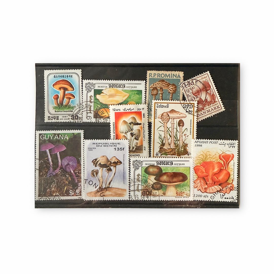 きのこ 切手 ② 世界最初のキノコ切手の謎: HYPER Philatelist