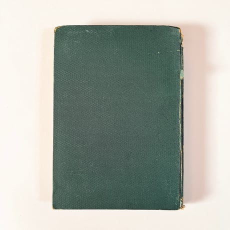 ドイツ　Sturm’s Flora von Deuchland 2 (1904)　植物図鑑