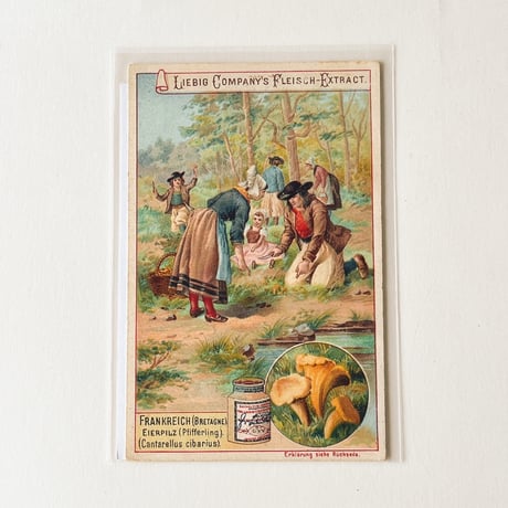 リービッヒ　トレーディングカード - 1897 - Pilze, Frankreich: Eierpilz, Pfifferling [2] (No. 1110)