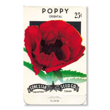 シードパケット　種袋　アメリカ　Poppy - Oriental