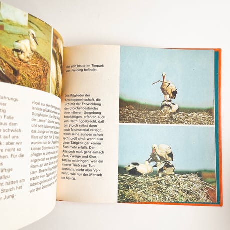 東ドイツ　Das Storchenjahr　1985年　動物図鑑