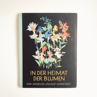 ドイツ インゼル文庫「Das kleine Baumbuch」No.316 （樹木図鑑）193