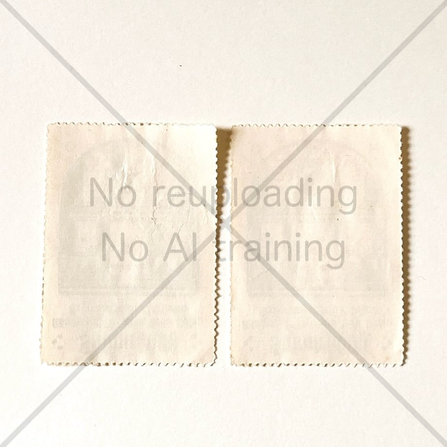 699c44569a7b21559188ecd9
