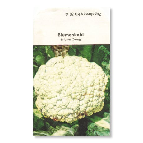 シードバッグ | STORES