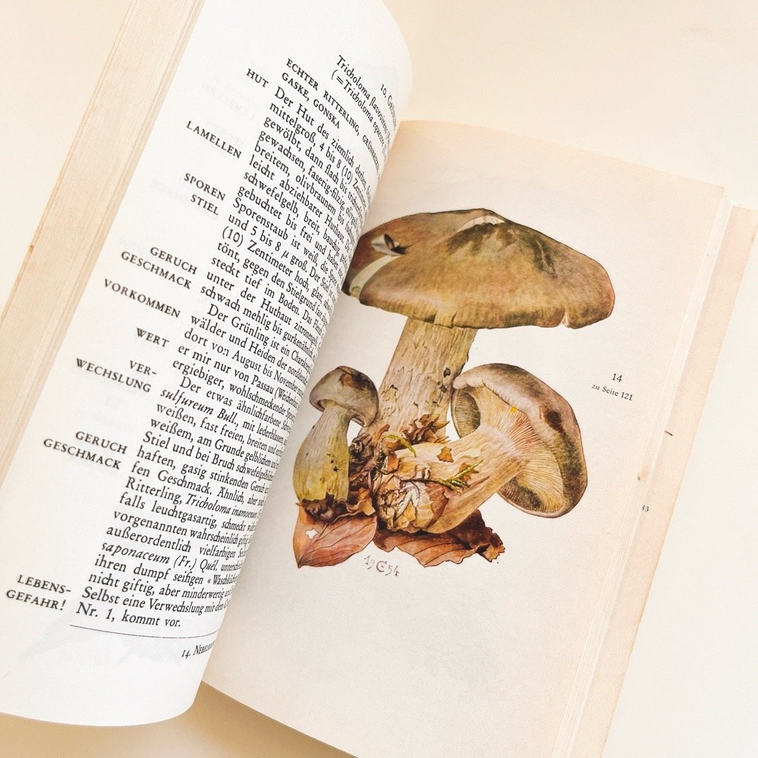 東ドイツ きのこ図鑑 Knaurs Pilzbuch (1973) | こぐま舎