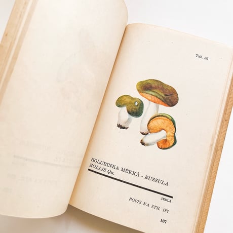 チェコスロバキア　きのこ図鑑　Atlas Holubinek　1945年