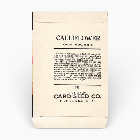 シードパケット　種袋　アメリカ　CAULIFLOWER