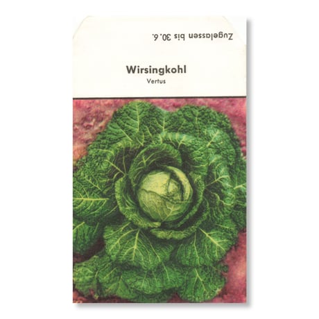 シードパケット　種袋　西ドイツ　Wirsingkohl - Vertus