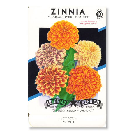 シードパケット　種袋　アメリカ　Zinnia - Mexican Hybrids Mixed