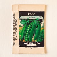 シードパケット　種袋　箱　アメリカ　PEAS TELEPHONE