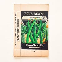 シードパケット　種袋　箱　アメリカ　POLE BEANS