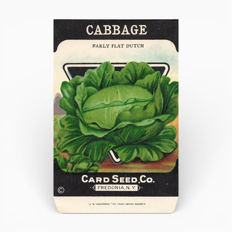 シードパケット　種袋　アメリカ　CABBAGE FARLY FLAT DUTCH