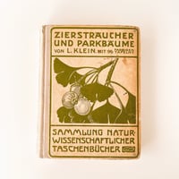 ドイツ　Ziersträucher und Parkbäume (1923)