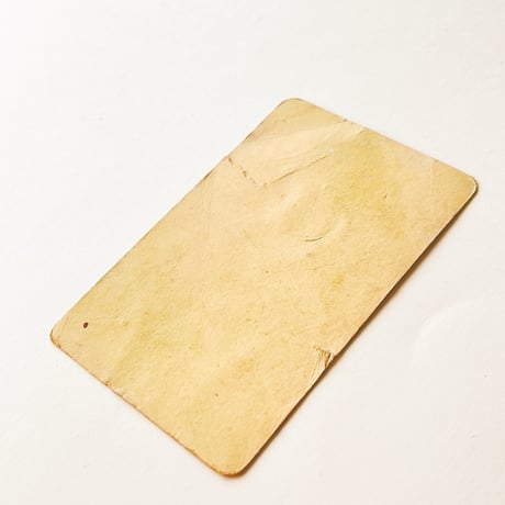 ドイツ　ヴィンテージ　きのこカード　バラ売り　Maronenröhrling