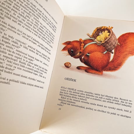 チェコスロバキア　POHÁDKZ NA DOBRÝ DEN　絵本