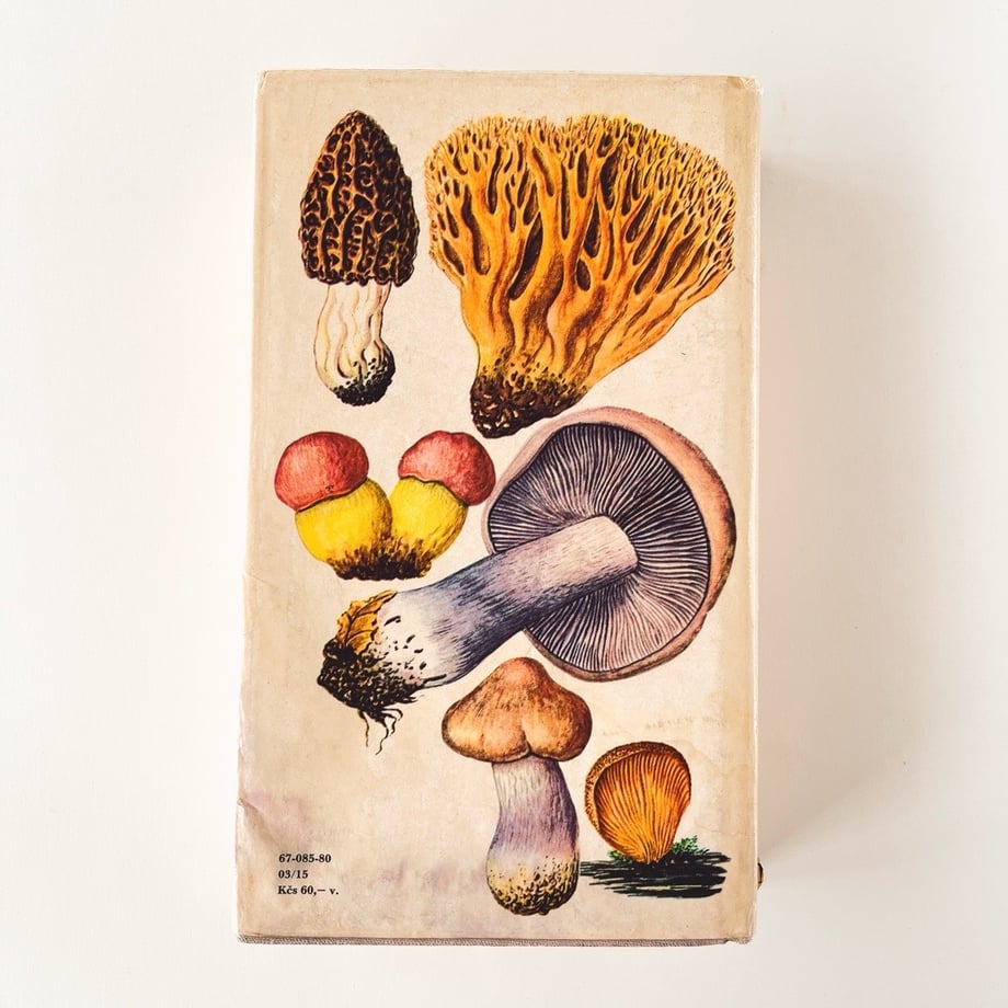 647afd5b717c42002edc7316