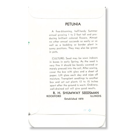 シードパケット　種袋　アメリカ　Petunia - Waved & Fringed Mixed