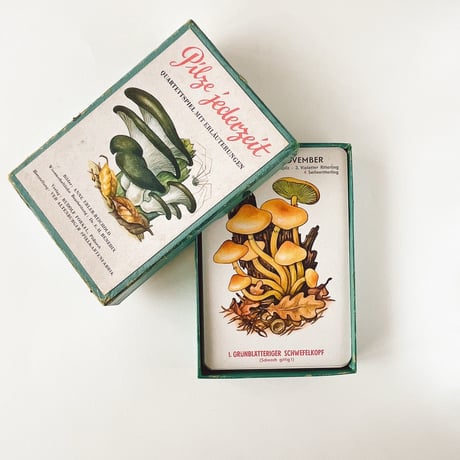 東ドイツ　カードゲーム　Pilze jederzeit　きのこカードゲーム 　1970年代　箱入り
