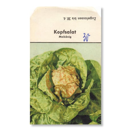 シードパケット　種袋　西ドイツ　Kopfsalat Maikönig