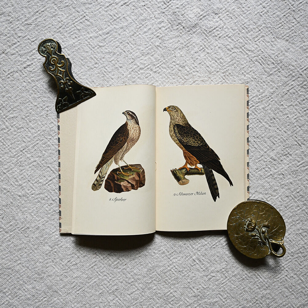 ドイツ インゼル文庫「Das kleine Buch der Greife」No.515 （猛