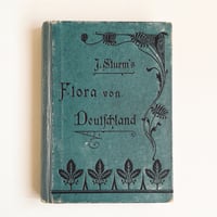 ドイツ　Sturm’s Flora von Deuchland 14 (1904)　植物図鑑