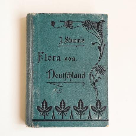 ドイツ　Sturm’s Flora von Deuchland 14 (1904)　植物図鑑