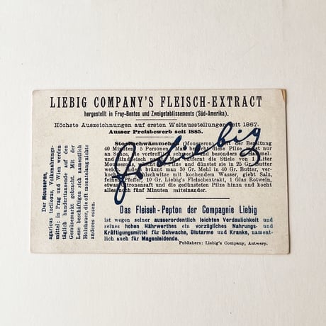 リービッヒ　トレーディングカード - 1897 - Pilze, Österreich: Mousseron [4] (No. 1112)