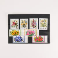 切手セット　ルワンダと西ドイツ　蘭のシリーズと庭の花シリーズ