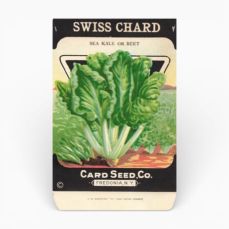 シードパケット　種袋　アメリカ　SWISS CHARD