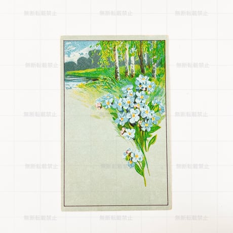チェコスロバキア　勿忘草の花束　ポストカード