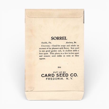 シードパケット　種袋　アメリカ　SORREL