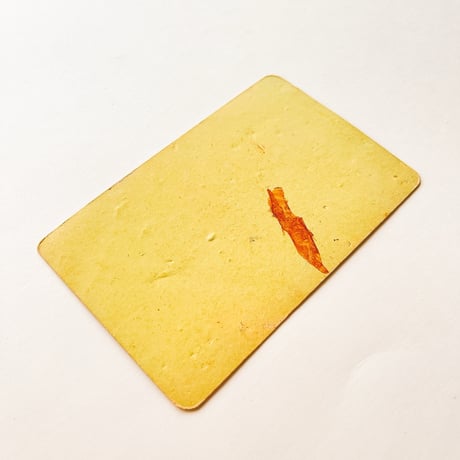 ドイツ　ヴィンテージ　きのこカード　バラ売り　Speisetäubling