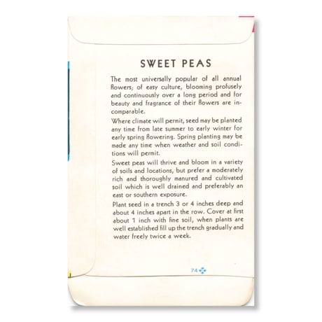 シードパケット　種袋　アメリカ　Sweet Pea - Cuthbertson Floribunda Finest Mixed