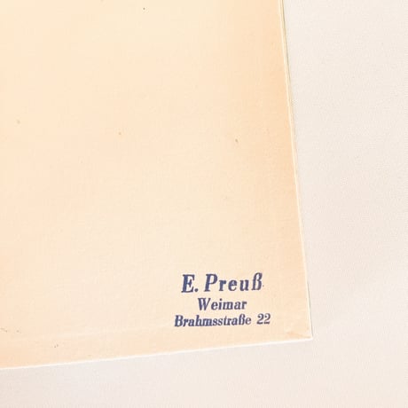 ドイツ　インゼル文庫「Das klein Buch der Blumenbuch」No.281（野の花図鑑）1938年