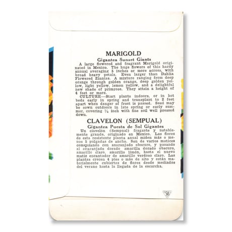 シードパケット　種袋　アメリカ　Marigold - Gigantea Sunset Giants