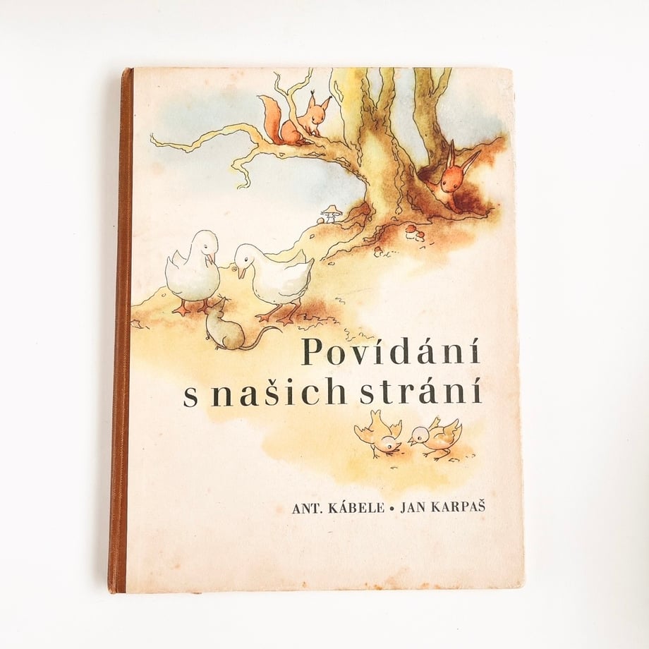 6497ec0432510f0036675f83