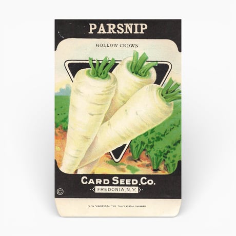 シードパケット　種袋　アメリカ　PARSNIP HPLLOW CROWN