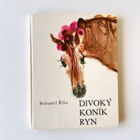 チェコスロバキア　DIVOKÝ KONÍK RYK　1989年
