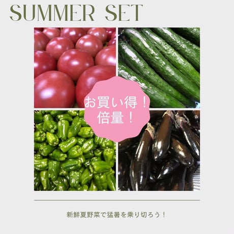 【採れたて】新鮮夏野菜セット
