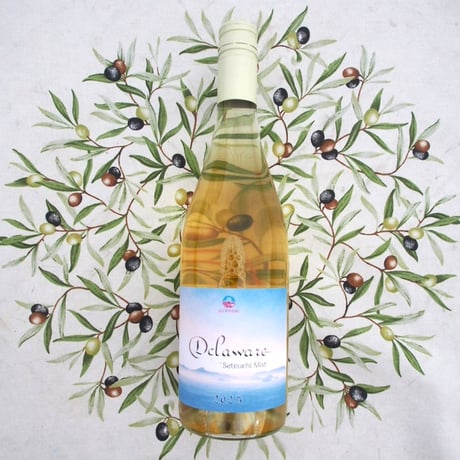 224WINERY online shop