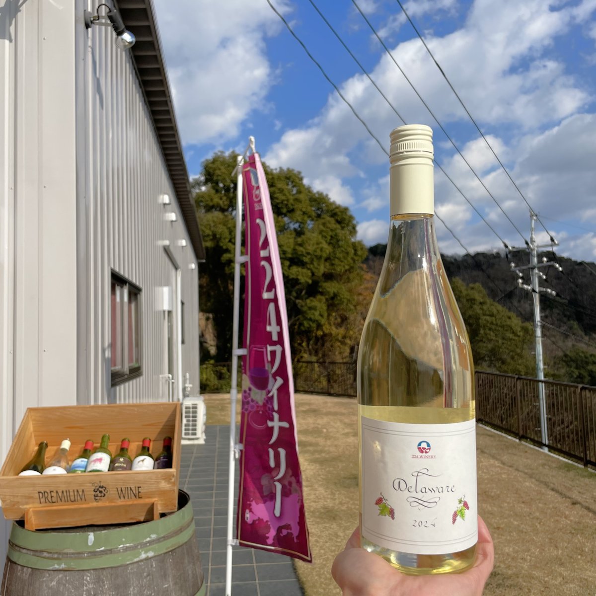 デラウェア　４kg 楽天市場】【送料無料】デラウェア 4kg箱 山梨県産 ぶどう