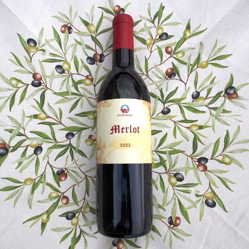 ミエイケノ メルロー Mie Ikeno Merlot 2022 2本セット Merlot 2023